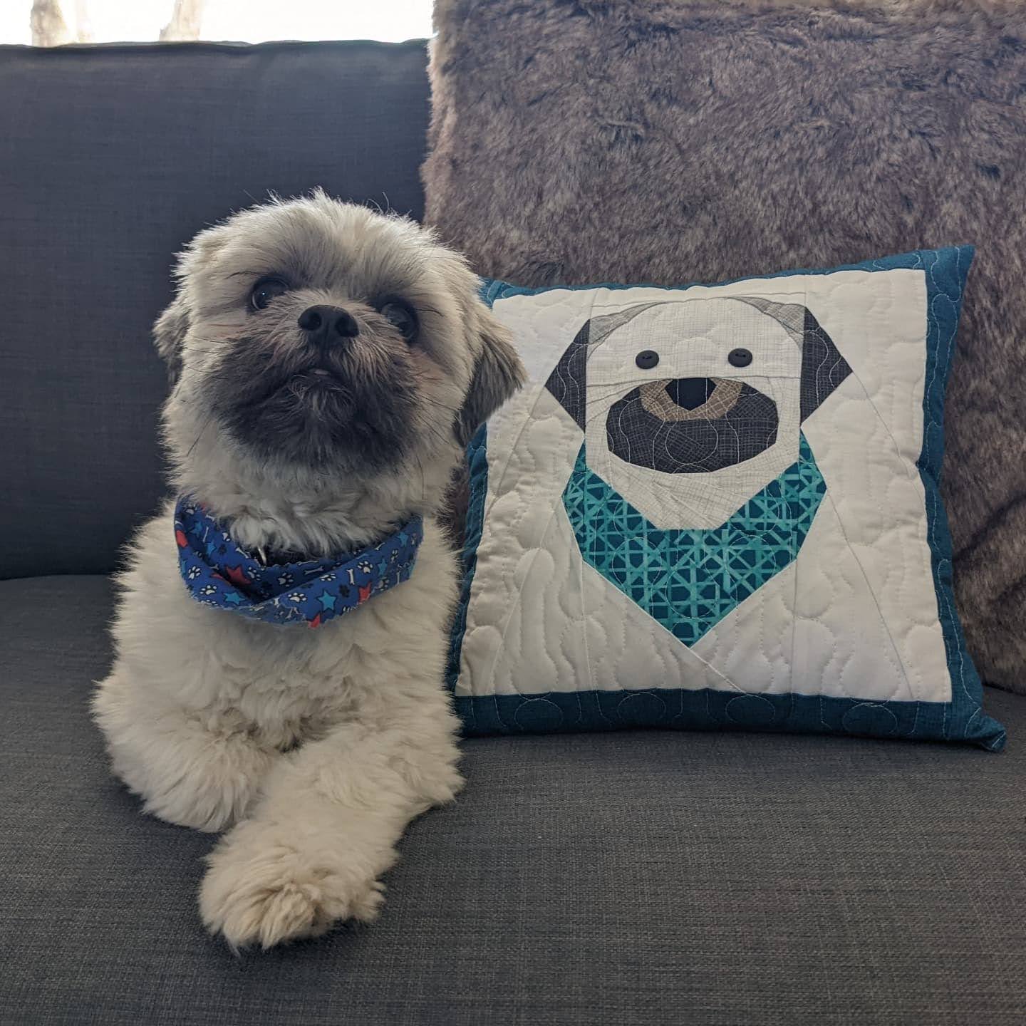 Pawsitively Purrfect Pets: Rudy - Shih Tzu FPP Quilt Block Pattern